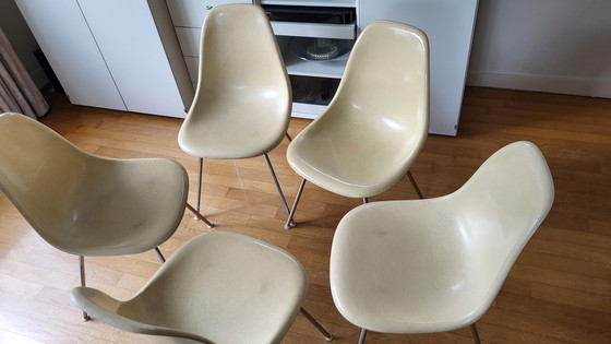Image 1 of 5x Herman Miller Eames Fiberglasstuhl