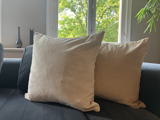 Image 1 of 6 x Nobilis-Samtkissen