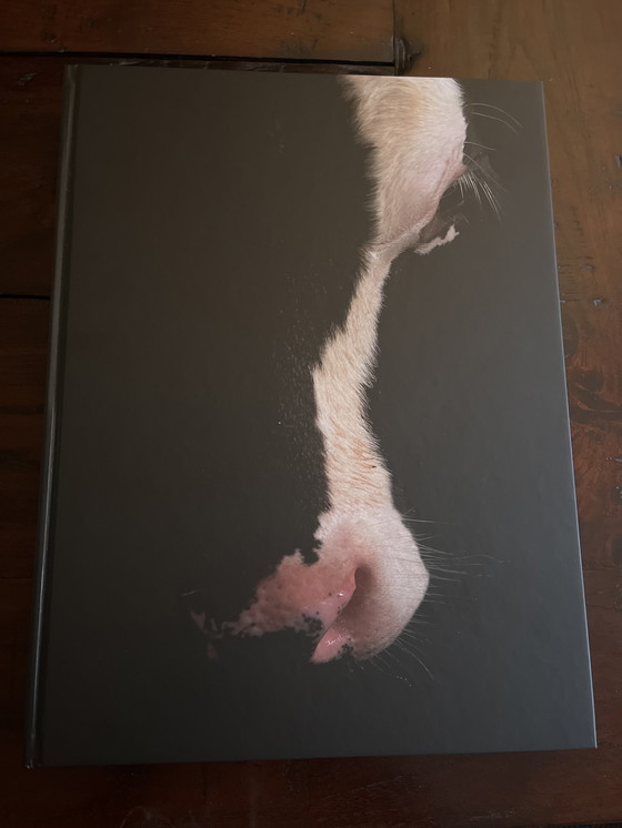 Image 1 of Jan Smink und Ruurd Jelle van der Ley Couchtischbuch