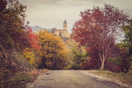 Image 1 of Jef Peeters – Indian Summer