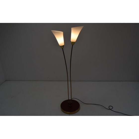 Image 1 of Vintage Art Deco Stehlampe aus Messing und Opalglas, Tschechoslowakei 1940