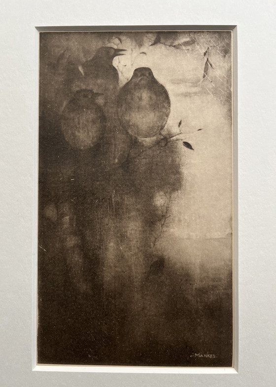 Image 1 of Jan Mankes Original Heliogravüre Drosseln in Abendstimmung