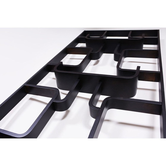 Image 1 of Raumteiler aus der Mitte des Jahrhunderts von Ludvik Volak für Drevopodnik Holesov, 1960er Jahre