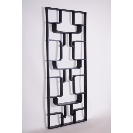 Image 1 of Raumteiler aus der Mitte des Jahrhunderts von Ludvik Volak für Drevopodnik Holesov, 1960er Jahre