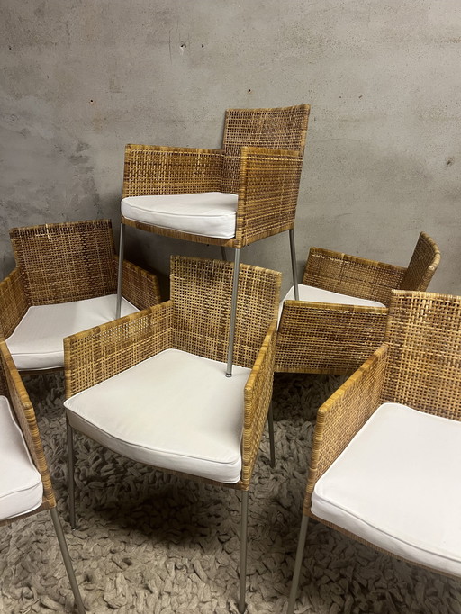 6X Rattan Tiba Etikett Gerard Van Den Berg