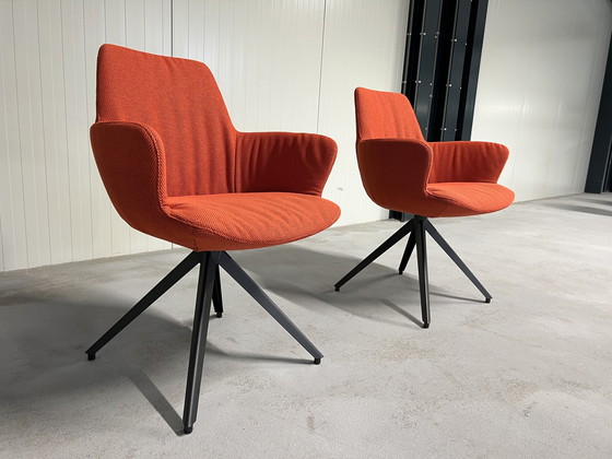 Image 1 of 2 Neue Bert plantagie Ahorn Stühle