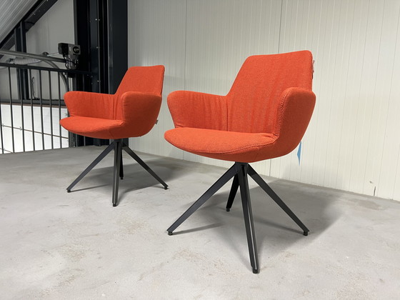 Image 1 of 2 Neue Bert plantagie Ahorn Stühle