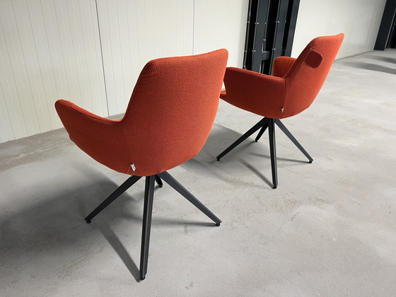 Image 1 of 2 Neue Bert plantagie Ahorn Stühle