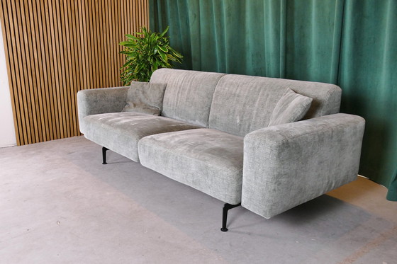 Image 1 of Passepartout 3-Sitzer-Sofa