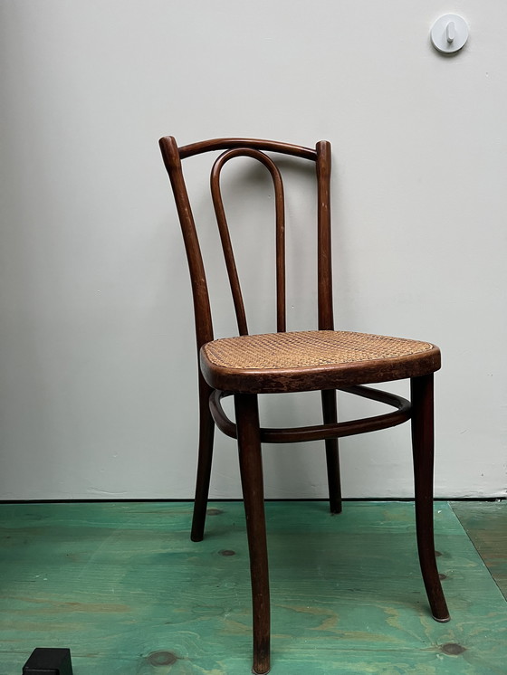 Image 1 of Stühle von Thonet und Kohn