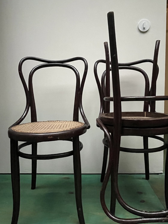 Image 1 of Stühle von Thonet und Kohn