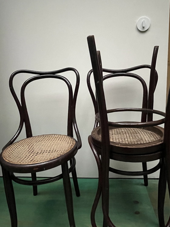Image 1 of Stühle von Thonet und Kohn