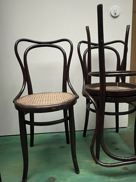 Image 1 of Stühle von Thonet und Kohn