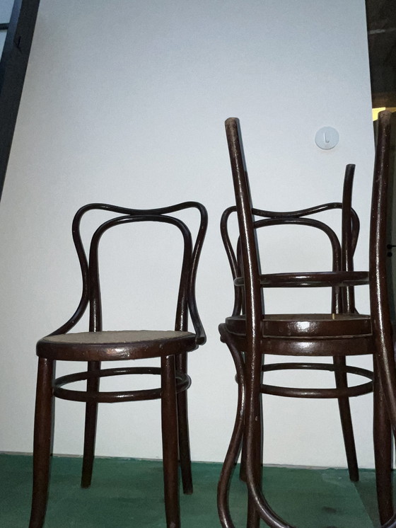 Image 1 of Stühle von Thonet und Kohn