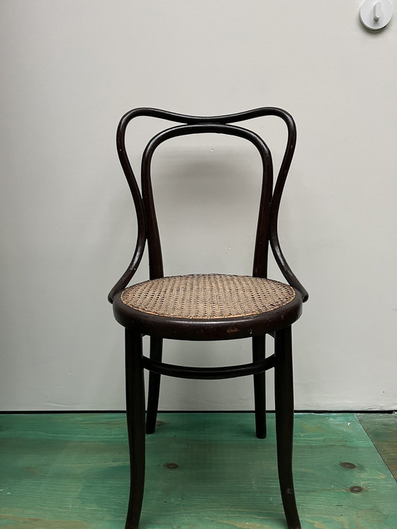 Image 1 of Stühle von Thonet und Kohn