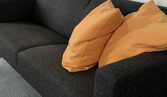 Image 1 of Artifort Mare 2,5-sitziges Sofa