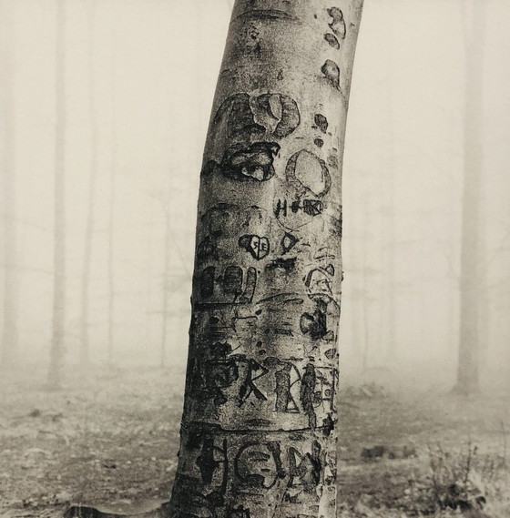 Image 1 of Ralph Janowski – Fotodruck