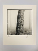 Ralph Janowski – Fotodruck