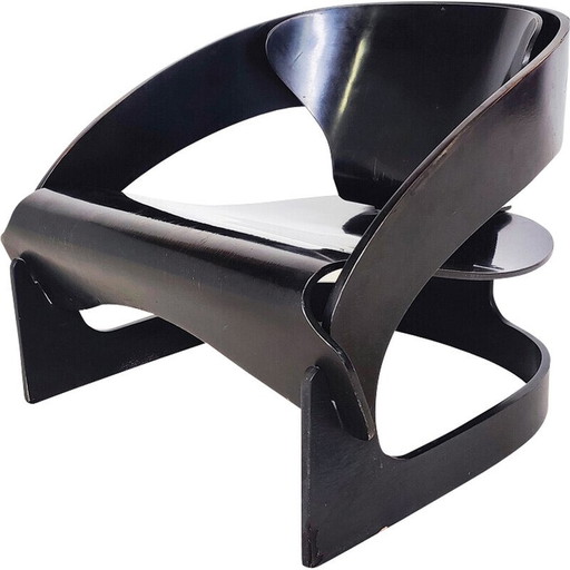 Mid Century Holzsessel Modell 4801 von Joe Colombo für Kartell, 1960er Jahre