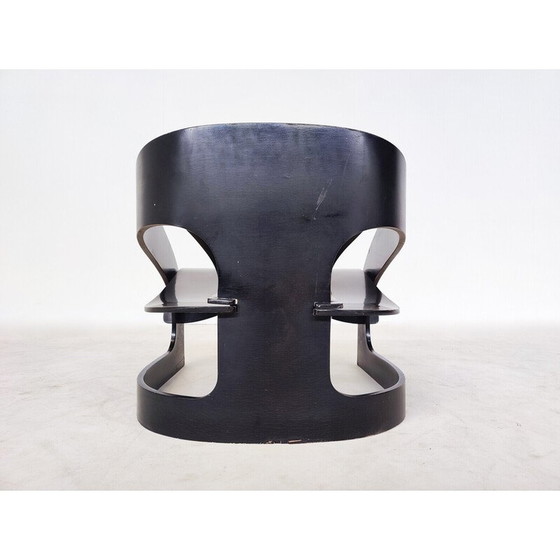 Image 1 of Mid Century Holzsessel Modell 4801 von Joe Colombo für Kartell, 1960er Jahre