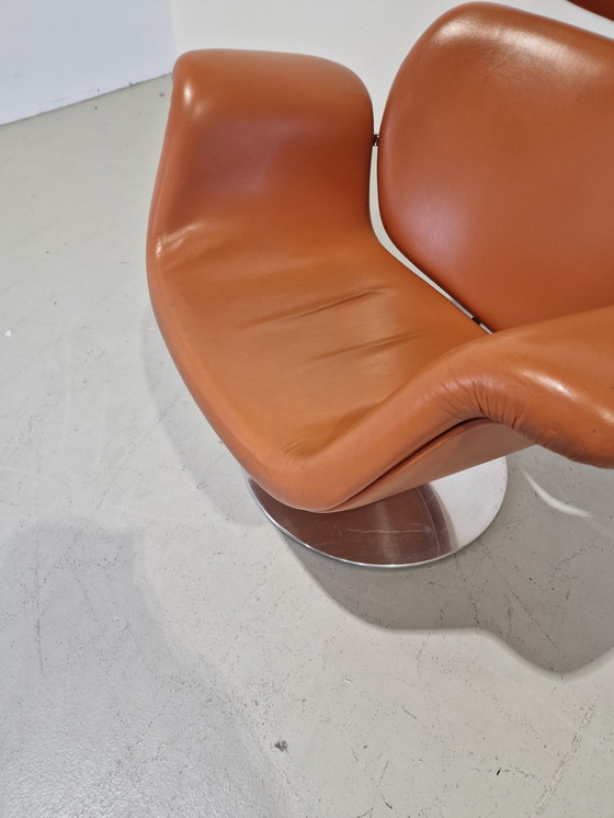 Image 1 of Artifort Große Tulpe Pierre Paulin