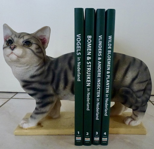 Wunderschön gezeichnete Katze als Buchstütze.