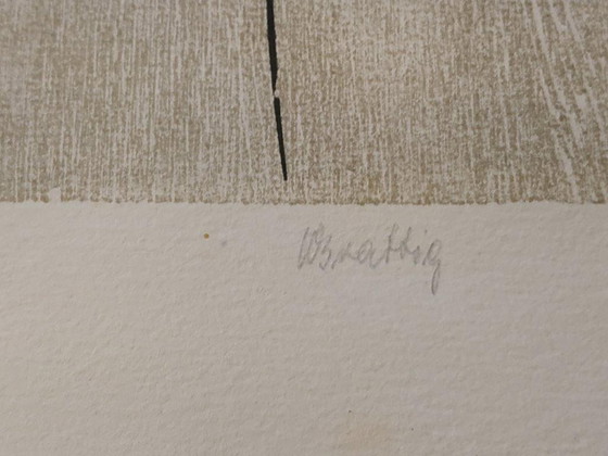 Image 1 of Werner Brattig - Fische - Lithografie/Siebdruck - Signiertes und nummeriertes Original (9/200)