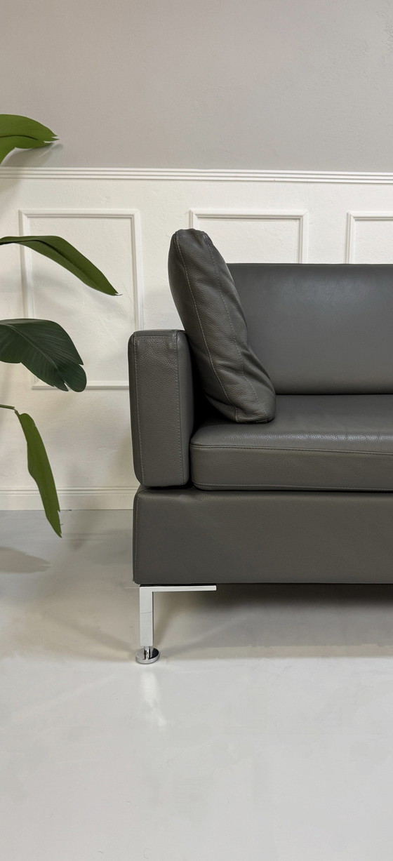 Image 1 of Brühl Alba Ecksofa Designer Sofa Couch Leder Grau