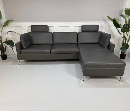 Brühl Alba Ecksofa Designer Sofa Couch Leder Grau