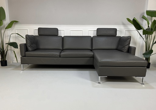 Brühl Alba Ecksofa Designer Sofa Couch Leder Grau