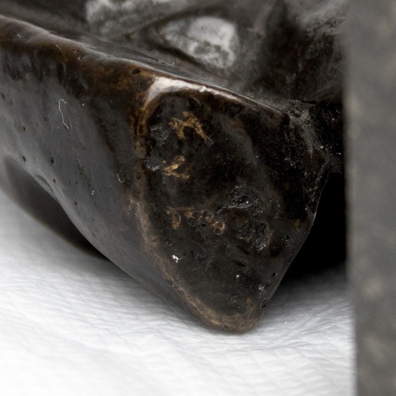 Image 1 of Fritz Van Eeden Satz von zwei Torso,S Junge und Mädchen in Bronze