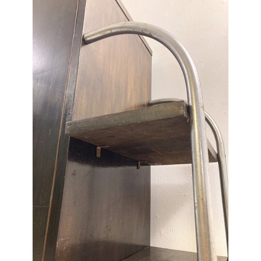 Vintage-Wandschrank aus Holz und Metall, 1920