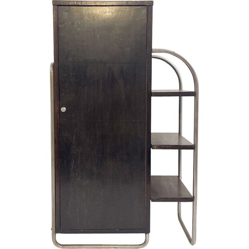 Vintage-Wandschrank aus Holz und Metall, 1920