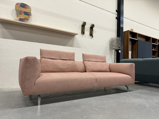 Image 1 of Zanotta Kim Sofa Rosa Tito Stoff 250