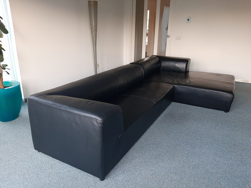 Modernes Saatgut-Sofa