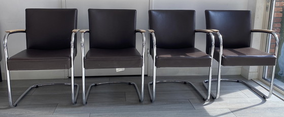 Image 1 of 4 Leolux Company Esszimmerstühle in Senso Leder Braun