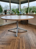 Zanotta Radicequadra Esstisch
