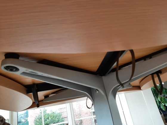 Image 1 of Zanotta Radicequadra Esstisch