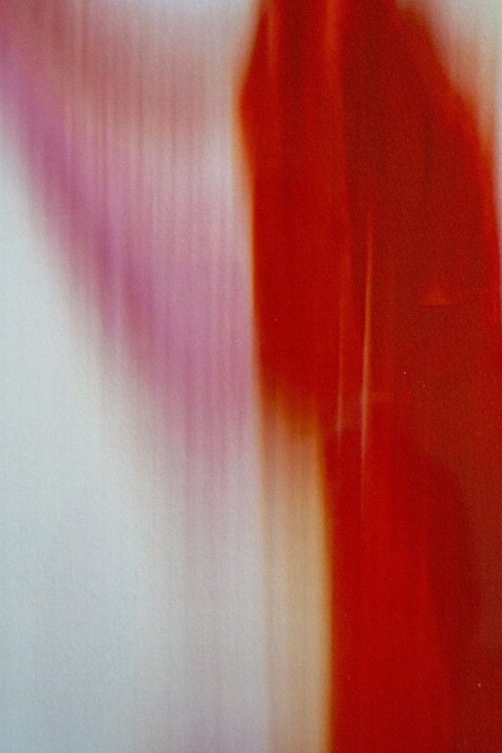 Image 1 of LILXLYLXLXLY - Glückseligkeit