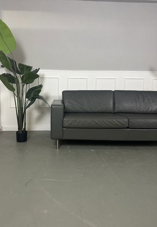 Bolia Scandinavia Sofa Designer Leder Couch Lieferung Möglich