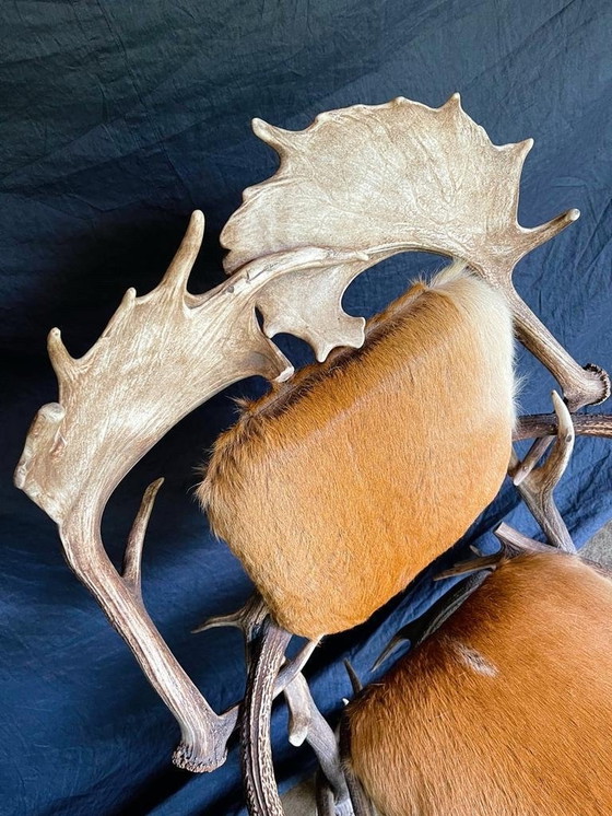 Image 1 of Antiker Stuhl