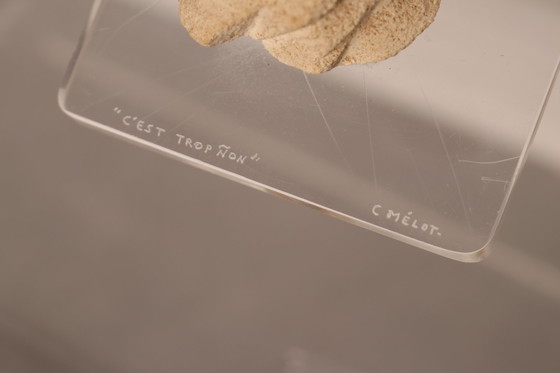 Image 1 of Christian Mélot - Es ist zu viel, nein