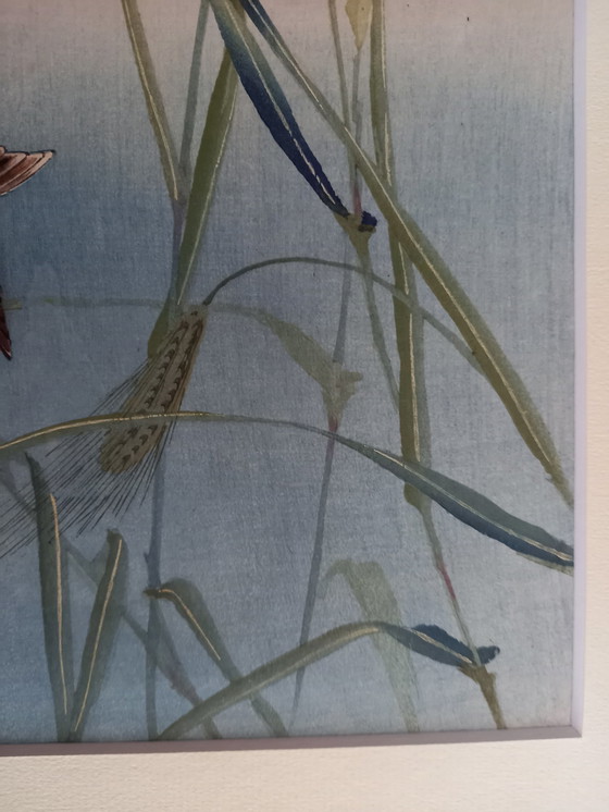 Image 1 of Ohara Koson Japanischer Druck