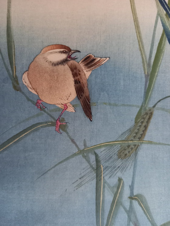 Image 1 of Ohara Koson Japanischer Druck