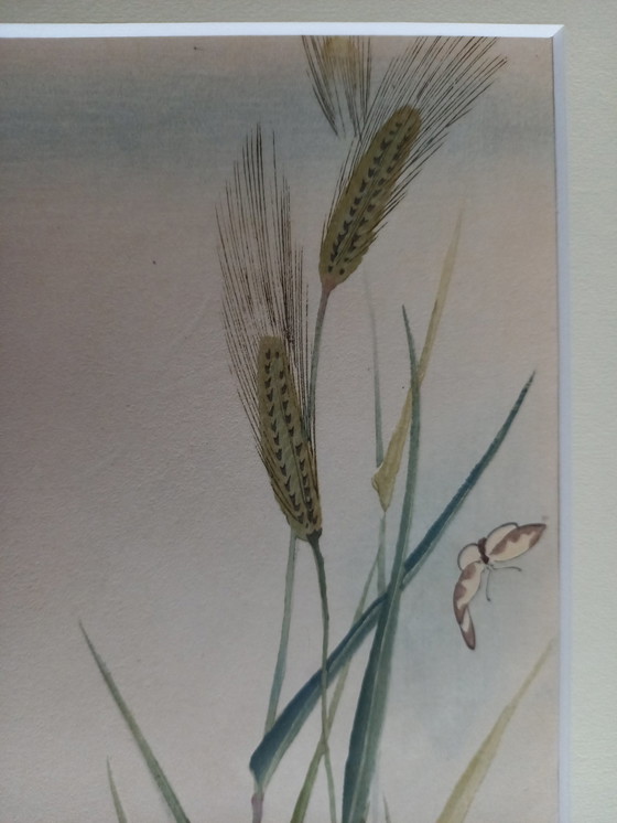 Image 1 of Ohara Koson Japanischer Druck