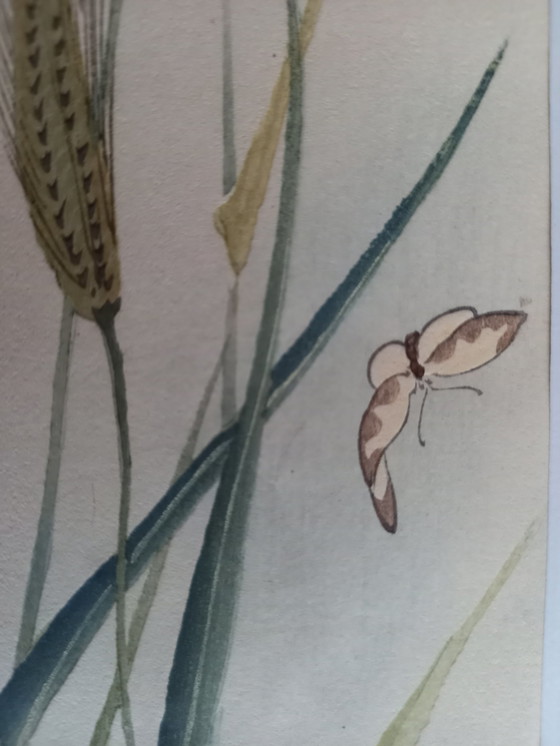 Image 1 of Ohara Koson Japanischer Druck