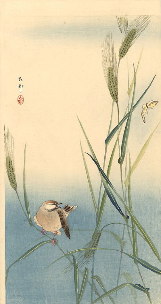 Image 1 of Ohara Koson Japanischer Druck