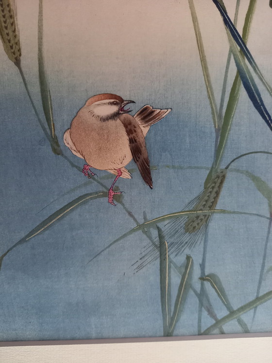 Image 1 of Ohara Koson Japanischer Druck