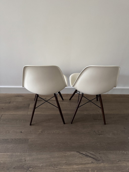 6x Vitra Eames Dsw Pebble Maple Basis