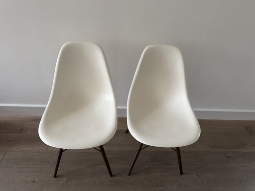 6x Vitra Eames Dsw Pebble Maple Basis